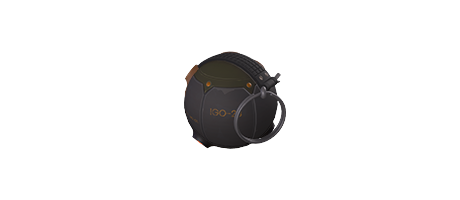 IGO23